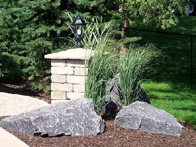 Accent Rocks by Forever Green
