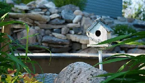 Birdhouse on a stake by Chris Enns