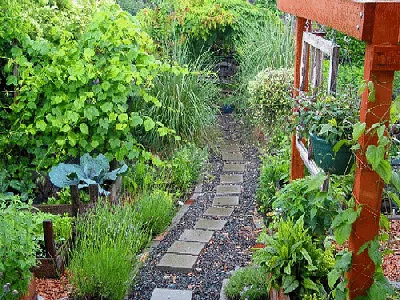 Path to garden bench by the Carringtons