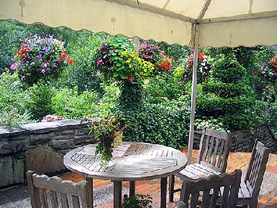 English Garden Style by panduh