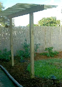 Pergola by Chip and Andy