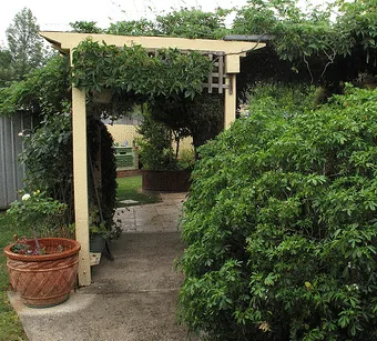 Pergola by Alison Young1