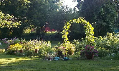 Garden Arch by Matt DeTurck