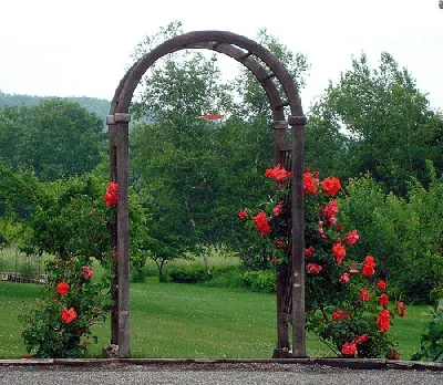 Landscape arch by Sean