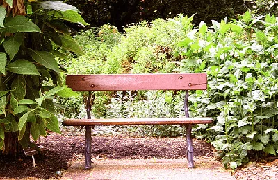 Garden Bench by Tom Nguyen Adelaid