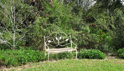 Garden Bench by Allison Young