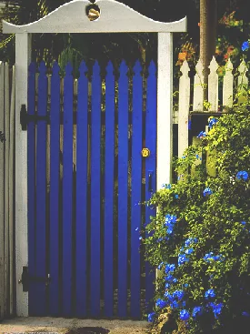 Garden Gate by C J Peters