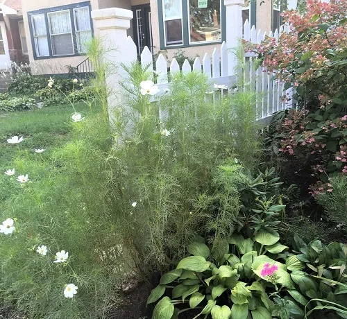 Landscaped fence by Midwest Gardening