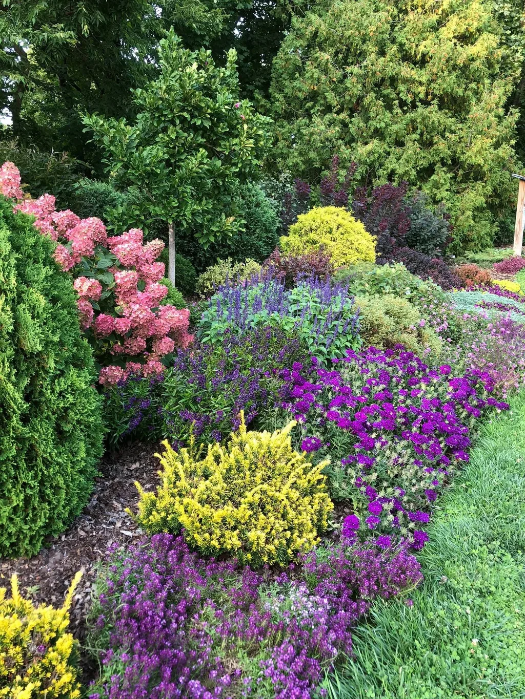 Fall Color