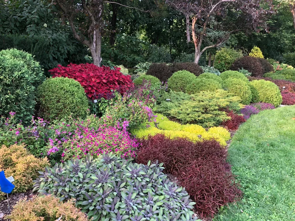 Fall landscape