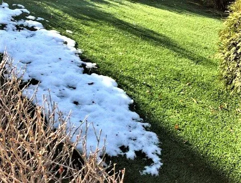 Artificial Grass by Midwest Gardening