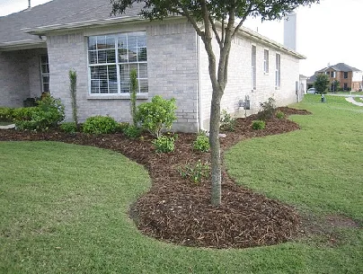 foundation planting by Brian Gautrea