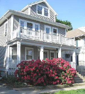 Foundation planting Rhododendron by Juhan Sonin