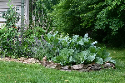 Vegetable foundation planting by Susy Morris