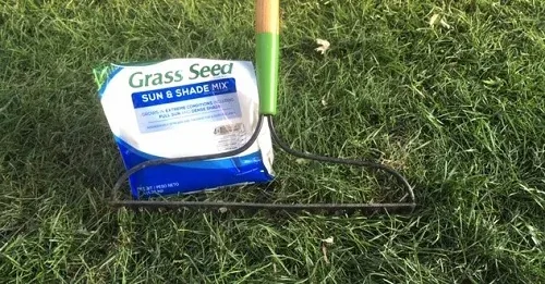 Lawn Repair by Midwest Gardening