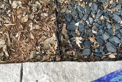 Create a mulched section for annuals with an edging strip to keep rock and mulch separated