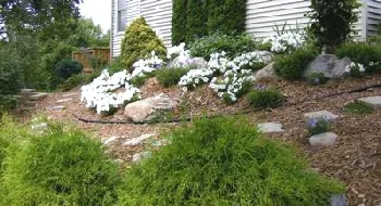 Planting a Hill or Slope by Midwest Gardening