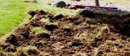 Dig up the sod by Midwest Gardening