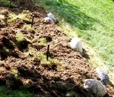 Plant Placement stakes by Midwest Gardening