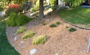 Plants for a Hill or Slope by Midwest Gardening