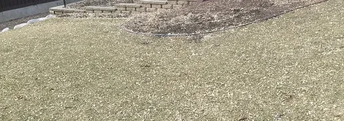 Spring Lawn by Midwest Gardening