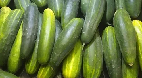 cucumbers