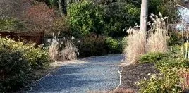 garden path penywise
