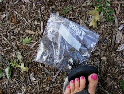 Japanese Beatles crushed by Midwest Gardening