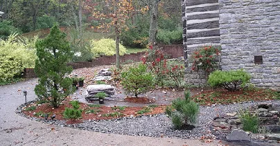 Lanscaping with Pines by Gerald Figa