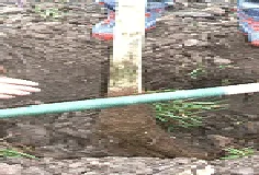 checking the depth by Midwest Gardening