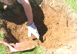 Planting Hole by Midwest Gardening
