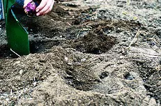 Digging individual holes