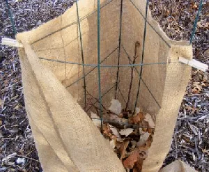 secure burlap to cage