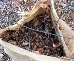fill burlaped cage to top