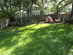 Mature trees cast long shade