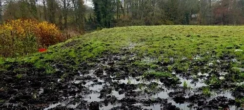Wet Soil