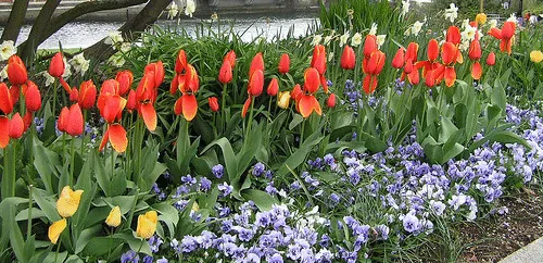 Road side garden