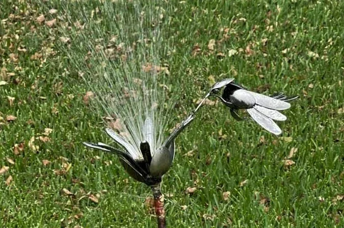 Hummingbird Mister