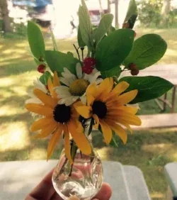 cut arrangement