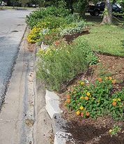 Curbside garden