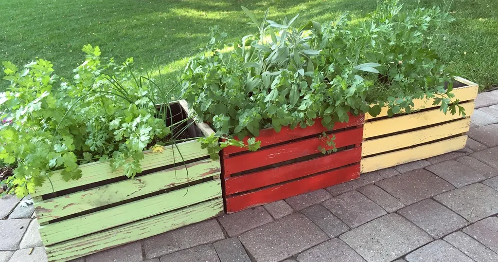 Container Garden