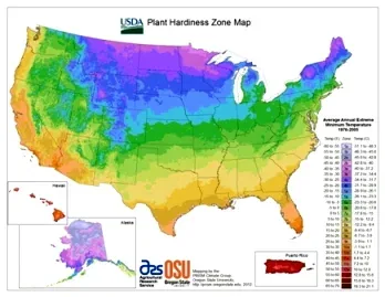 USDA plant hardiness zones
