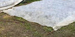 seed blanket