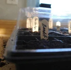 Plug tray by mazaletel1