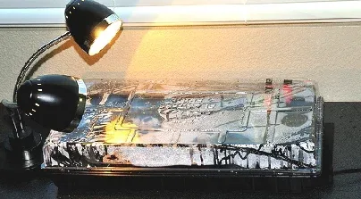 seed tray with heat mat and florescent light by Peter Baer