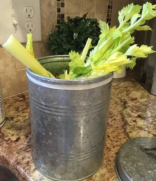 Celery scraps in a galvanized metal compost pail on a kitchen counter