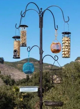 wire feeder, peanut feeder, tube feeder, and suet feeder