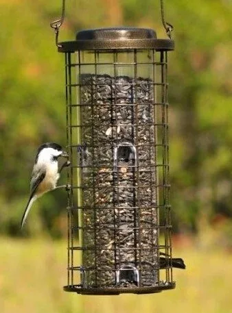 Bird Feeder
