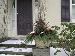 Winter Container, Red dogwood, pine, bc cedar, magnolia leaves pepperberries, pinecones, seeded eucalyptus