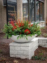 Winter Pot